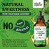 Gymnema Tincture - Sugar-Free Gymnema Sylvestre Supplements - Alcohol-Free Gymnema Drops for Antioxidant Support - Organic Gymnema for Cleanse - V...