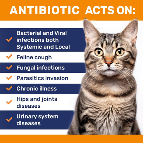 Antibiotics for Cats ? Cat Antibiotic ? Natural Antibiotics for Cats ? Cat Antibiotics ? Antibiotic for Cats ? Cat Multivitamin ? Pet Antibiotic ?...