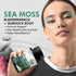 Sea Moss - Irish Sea Moss Capsules - Sea Moss, Black Seed Oil, Ashwagandha, Burdock Root & Bladderwrack (9000 mg) - Seamoss Pills Supplement for I...