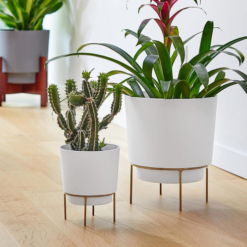 Bloem Hopson Round Planter with Gold Metal Stand: 6" - Casper White - Durable Plastic Pot, Powder Coated Removable Stand, for Indoor and Outdoor U...