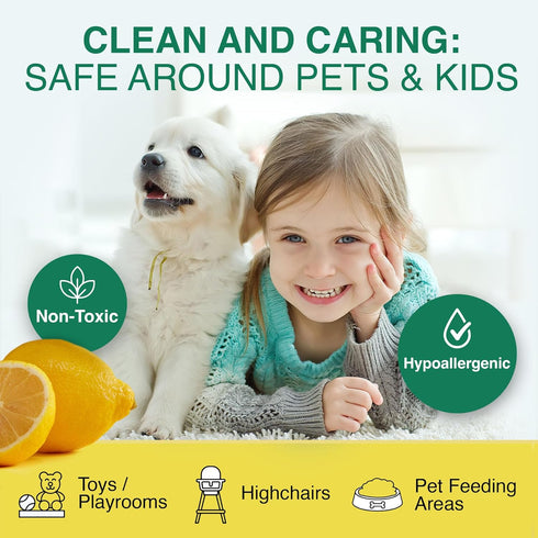 All-Purpose Cleaner Concentrate | Biodegradable Multi-Surface Cleaner | Natural Lemon Essential Oil | Multipurpose Cleaner Concentrate All Surface...