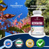 Resveratrol Supplement 1200mg - Japanese Knotweed Resveratrol Capsules - High Potency Trans Resveratrol Nutritional Supplements for Healthy Aging ...