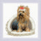 RIOLIS Counted Cross Stitch kit 2152 Yorkshire Terrier...