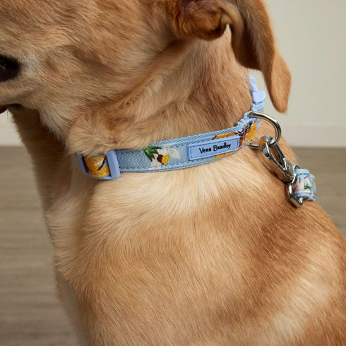 Vera Bradley Women's Recycled Lighten Up Water-repellent Pet Leash, Sunflower Sky, Medium...