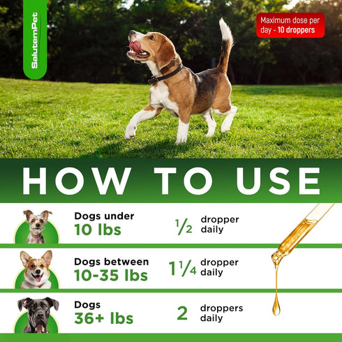Natural Antibiotics for Dogs | Dog Antibiotics | Supports Dog Allergy Relief | Dog Itch Relief | Dog Allergy Support | Dog Multivitamin | Pet Anti...