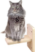 Wall Mounted Stairs for Cats, Cat Wall Mounted Shelves Board, Kitten Wall Ladder Climber Wooden Cat Wall Shelf Set Float, Cat Scratching Post Step...