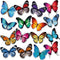 60 Pcs Summer Butterfly Bulletin Board Cutouts Classroom Cutouts Decor Butterfly Cutouts for Science Classroom Bulletin Board School Wall Birthday...