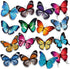 60 Pcs Summer Butterfly Bulletin Board Cutouts Classroom Cutouts Decor Butterfly Cutouts for Science Classroom Bulletin Board School Wall Birthday...