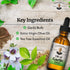 Christopher's Original Formulas Oil of Garlic Extract 2 Ounces - Pack of 1 - Premium Herbal Supplement - Cold-Pressed & Pure Liquid Garlic Oil | V...