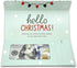 Holiday Card | Zip-Open Money Holder w/Clear Plastic Window for Cash, Check, & Gift Card (Penguin - Hello Christmas)...
