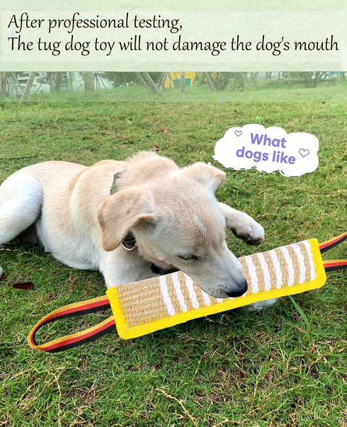Dog Tug Toy Dog Tough Jute Bite Pillow - LastingTraining Equipment - Two Flag Handles Puppy to Large Dogs Interactive Toy war toys for aggressive ...