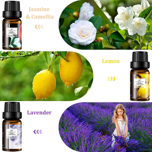 Refresh Essential Oil Set, 6x10ml Aromatherapy Oils for Diffuser, Humidifier, DIY Candle, Air Purifier...