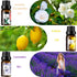 Refresh Essential Oil Set, 6x10ml Aromatherapy Oils for Diffuser, Humidifier, DIY Candle, Air Purifier...
