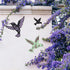 Hummingbird Stencil Set for Crafts, Reusable Silhouette Patterns for Painting Wood, Walls and Garden Decor...