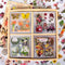 510PCS Plants Floral Scrapbook Stickers Kit Vintage Flowers Butterfly Mushroom Fall Maple Leaves Transparent Waterproof Stickers Set for Scrapbook...