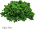 Woohome 3 Color Tree Powder for DIY Model Trees Basing Material Kit, Tree Powder Model for DIY Miniature Model Shrub Bushy Tuft, Building Model Ra...