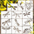 Dragonfly Stencils for Painting on Wood Crafts Reusable Grass Dragonfly Stencil Art Paint on Wall Canvas Pattern Believe Paint Stencils for Card M...