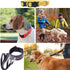Swivel Lobster Clasps Clips Lanyard Snap Hook and Slide Buckles and Metal D Ring Semi-Circular D Ring for Handbag Bags Cat Dog Collar Buckles Ring...
