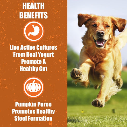 Whole Life Pet Human Grade Probiotic Dog Treats - Pumpkin & Yogurt – Easy Digestion, Firmer Stool, Sensitive Stomachs - Made in The USA...