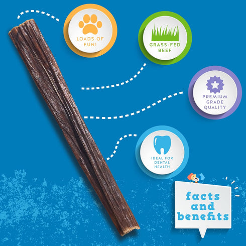 Jack&Pup 6-inch Gullet Sticks for Dogs – Odor Free Joint Health Support Dog Chews – Fresh and Savory Beef Gullet Sticks - Naturally Rich in Glucos...