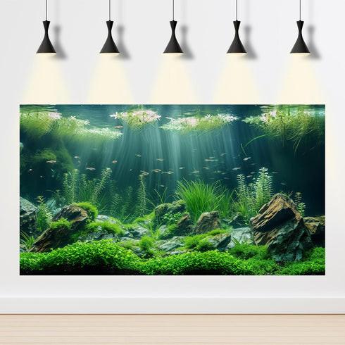 Aquarium Background Aquatic Plants Rocks Moss Fish Terrarium Background Balanced Underwater Tropical Style Landscape Aquarium Backdrop Amazing Fis...