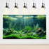 Aquarium Background Aquatic Plants Rocks Moss Fish Terrarium Background Balanced Underwater Tropical Style Landscape Aquarium Backdrop Amazing Fis...