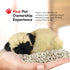 Minis Pug, Realistic, Lifelike Stuffed Interactive Plush Toy, Electronic Pets, Companion Pet Puppy with 100% Synthetic Fur...