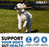 Probiotics for Dogs and Digestive Enzymes - 170 Dog Probiotics Chews - Dog Probiotic - Anti Diarrhea, Upset Stomach & Gas Relief, Constipation, Ca...