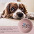 5-inch Ceramic Dog Bowl Cartoon Pattern, Cute, Chew-Proof, Dishwasher and Microwave Safe...