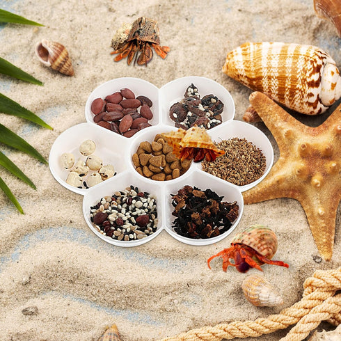 2 Pcs Hermit Crab Ceramic Food Dish, Small Hermit Crab Water Dish Hermit Crab Kit Mini Food Dish Kit for Hermit Crab Tarantula and Snail (White)...