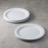 Amazon Basics Melamine (Plastic) Plate, 6 Piece Set, 10.5 in, White (Previously AmazonCommercial brand)...