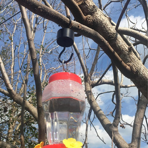 2 Pack Hummingbird Feeder Ant Guard, Metal Ant Moat for Hummingbird Feeders with 2 Hummingbird Feeder Brushes, Black...