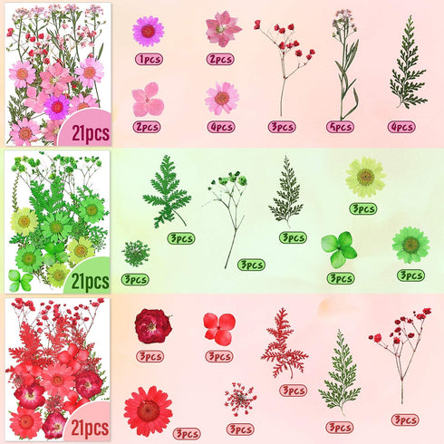 Nuanchu 223 Pcs Real Dried Pressed Flowers for Crafts Natural Dried Leaves and Butterfly Stickers Set Colorful Daisy Flowers and Adhesive Butterfl...