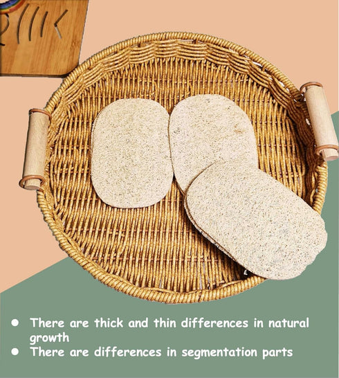 WOCATS 6pcs Natural Loofah Dish Sponges Scrubber for Kitchen-Based Dishwashing Scrubber Greener Clean Stand Wear and Tear Non-Scratch, Biodegradab...
