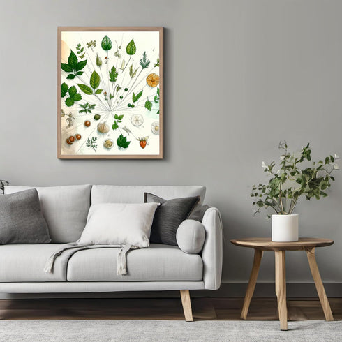 Posterizer 1 pcs-botanical illustration of a variaty of plants-educational art 3-Floral & Botanical Art Gift for Men Women Entrepreneur Teens Dec...