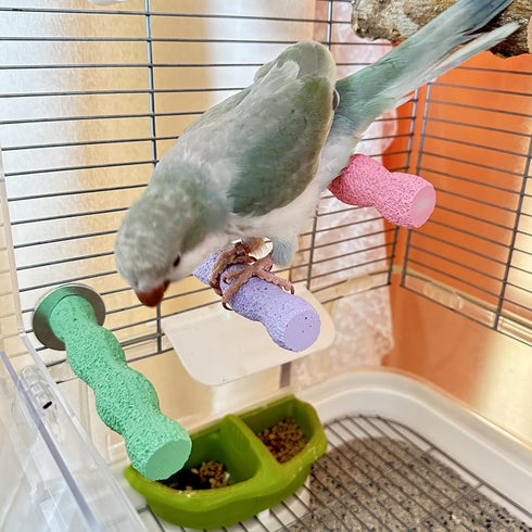 3Pcs Bird Perches for Cage, Parrot Perch Stand, Cage Stand Platform (Large Size)...