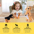 Plush Puppies Set for Toddlers Toys | 4 Plush Talking Animals | 4 Plush Stuffed Puppy Dogs | Plush Stuffed Puppies | Bulk Assorted Puppies | Baby ...