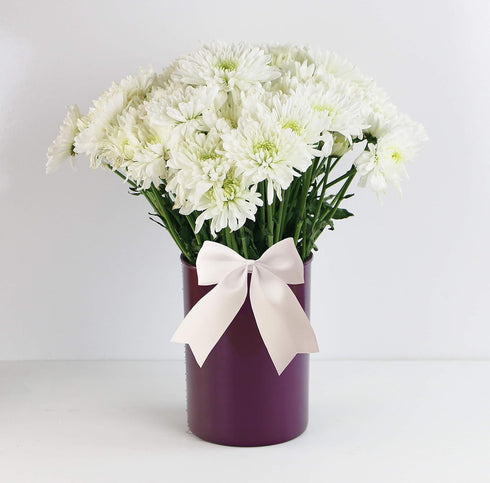Reston Lloyd Calypso Basics Plastic Utensil Holder, Plum...