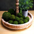 BYHER Natural Green Moss Decorative Ball,Handmade (2"-Set of 12)...