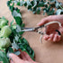 Plant Pruning Shears Garden Trimming Scissors Precision Hand Pruner Herb Snips Flower Clippers Bonsai Trimmers Straight Sharp Blade Tapered Tip Er...