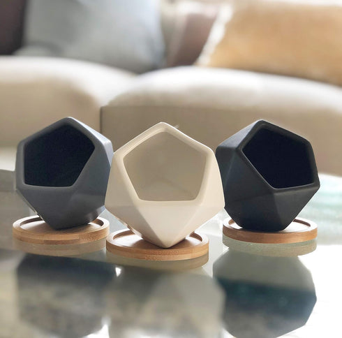 Modern Geometric Ceramic Succulent Pots 3" Planters with Drainage | Bamboo Tray | 3 Pack...