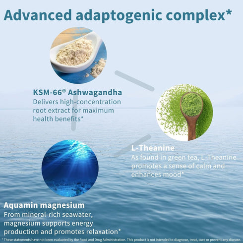 Advanced Ashwagandha KSM-66, L-Theanine & Magnesium, Clean Label, Multi Action Adaptogen Complex for Stress Support with Zinc & B Vitamins, 60 Veg...