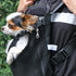 Mr. Pen- Pet Adjustable Dog Carrier Backpacks, Hiking Travel Backpack, Puppy Backpack, Dog Front Carrier...