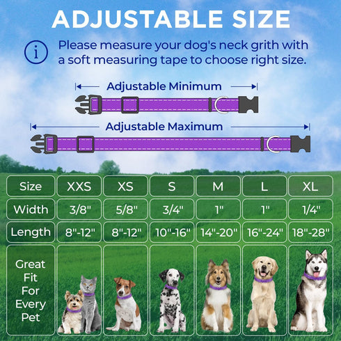 TECEUM Reflective Pet Collar – Purple – L – Extra Soft Padding – Basic Nylon Dog Collar – Quick Release Buckle – Fits Small, Medium and Large Dogs...