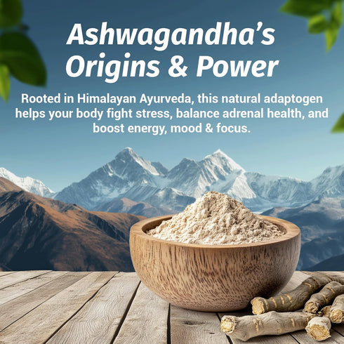 1 Body Ashwagandha Complex with Shoden® – Clinically Supported Stress Relief, Sleep, and Energy Support – Vegan, Non-GMO Supplements – 60 Capsules...