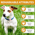 Silicone Airtag Holder for Dog Collar - 2 Pack | Serves as Dog GPS Tracker Case | Holder for AirTag Dog Collar | Waterproof Airtag Holder | Dog Ap...