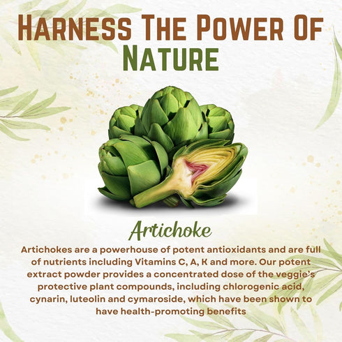 Go Nutra Artichoke Extract Powder Potent 5% Cynarin Artichoke Powder Pure Artichoke Leaf & Stem 4oz. | 150 servings...