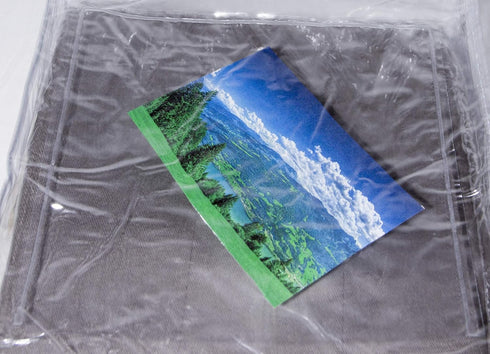 10-Pack Clear Vinyl Zippered Storage Bags 9 x 11 x 2 Inch with Display Pocket...