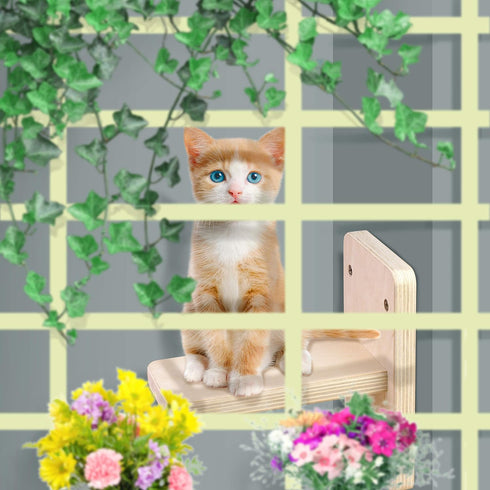 Wall Mounted Stairs for Cats, Cat Wall Mounted Shelves Board, Kitten Wall Ladder Climber Wooden Cat Wall Shelf Set Float, Cat Scratching Post Step...