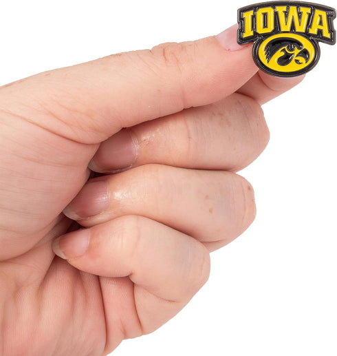 Desert Cactus University of Iowa Hawkeyes Lapel Pins Logo Enamel Made of Metal (Pin C)...